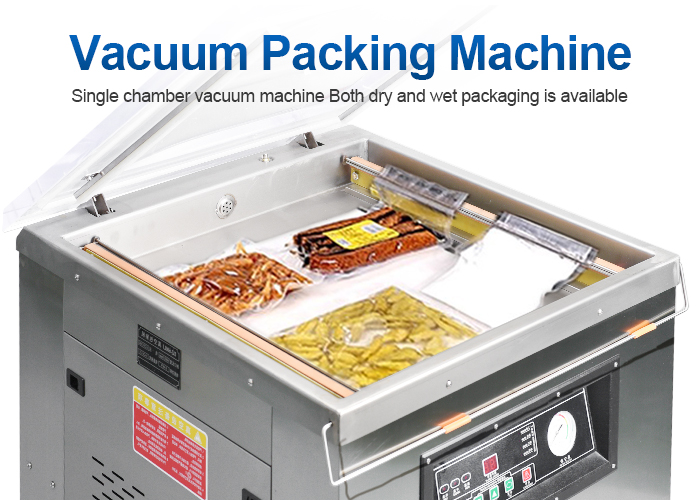 Vacuum Packer